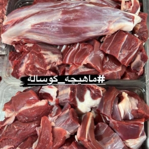 محصول نمونه 4